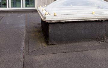 disadvantages of Stunts Green flat roofs