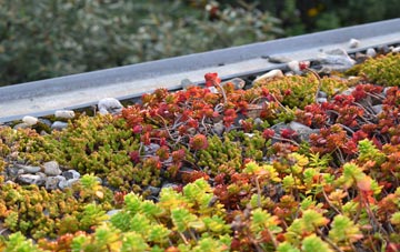 the cost of Stunts Green green roof installation