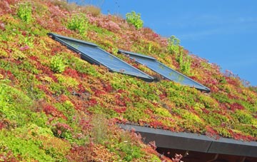 Stunts Green living roof systems