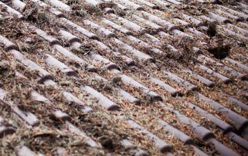 Stunts Green roof cleaning companies