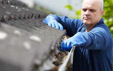 cleaning and inspecting Stunts Green roofs