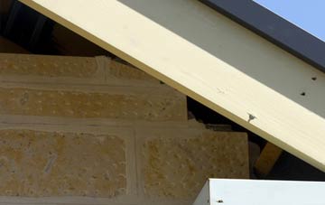soffit repair Stunts Green